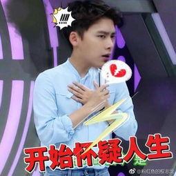 媒体爆料李易峰事件视频,真相与争议交织
