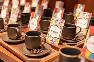 云南咖啡爆料视频播放,揭秘爆火视频背后的魅力与故事