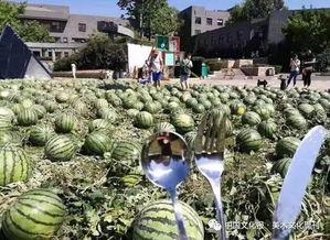 天津美院吃瓜爆料视频,校园风云再起 第3张 天津美院吃瓜爆料视频,校园风云再起 第3张